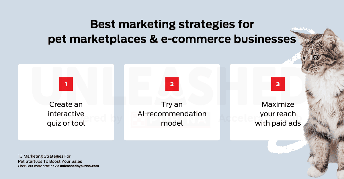 List: Best marketing strategies for pet marketplaces and e-commerce businesses Create an interactive quiz or tool Try an AI-recommendation model Maximize your reach with paid ads