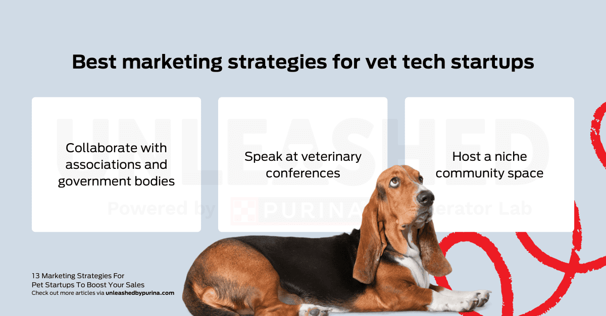 List: Best marketing strategies for vet tech startups Collaborate with associations and government bodies Speak at veterinary conferences Host a niche community space