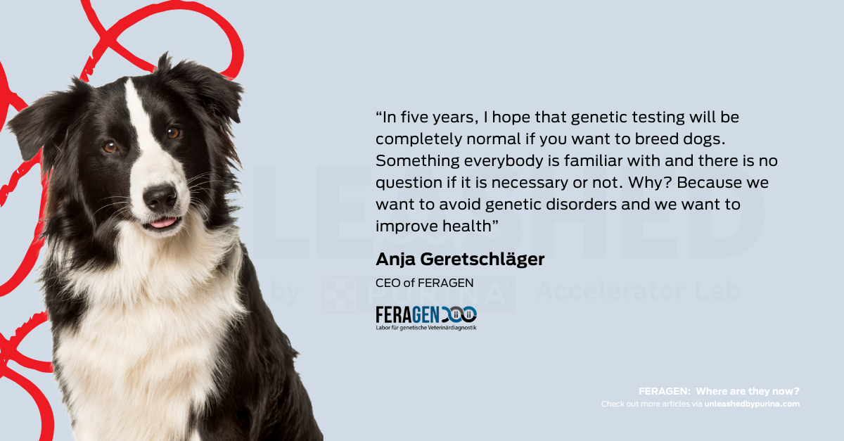 Quote: “In five years, I hope that genetic testing will be completely normal if you want to breed dogs. Something everybody is familiar with and there is no question if it is necessary or not. Why? Because we want to avoid genetic disorders and we want to improve health”,  said Anja.