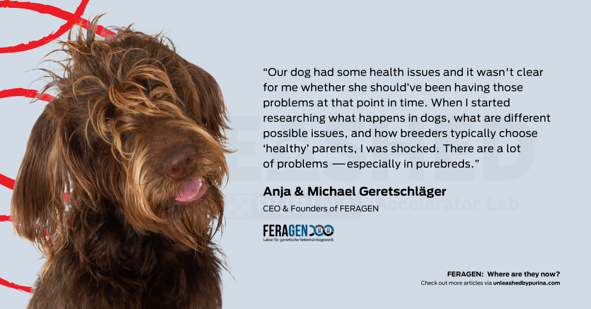 “Our dog had some health issues and it wasn't clear for me whether she should’ve been having those problems at that point in time. When I started researching what happens in dogs, what are different possible issues, and how breeders typically choose ‘healthy’ parents, I was shocked. There are a lot of problems—especially in purebreds.” 