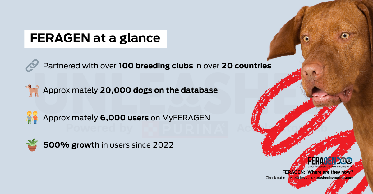 Graph: FERAGEN at a glance Partnered with over 100 breeding clubs in over 20 countries  Approximately 20,000 dogs on the database Approximately 6,000 user on MyFERAGEN 500% growth in users since 2022