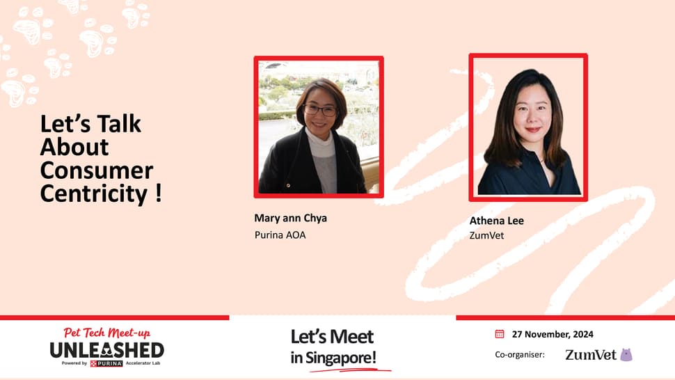 Alt Image for Let’s Talk About Consumer Centricity!