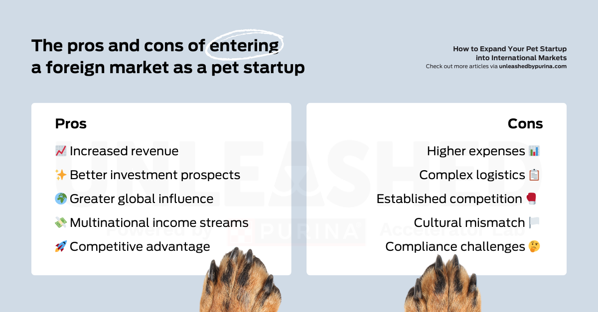 The pros and cons of entering a foreign market as a pet startup