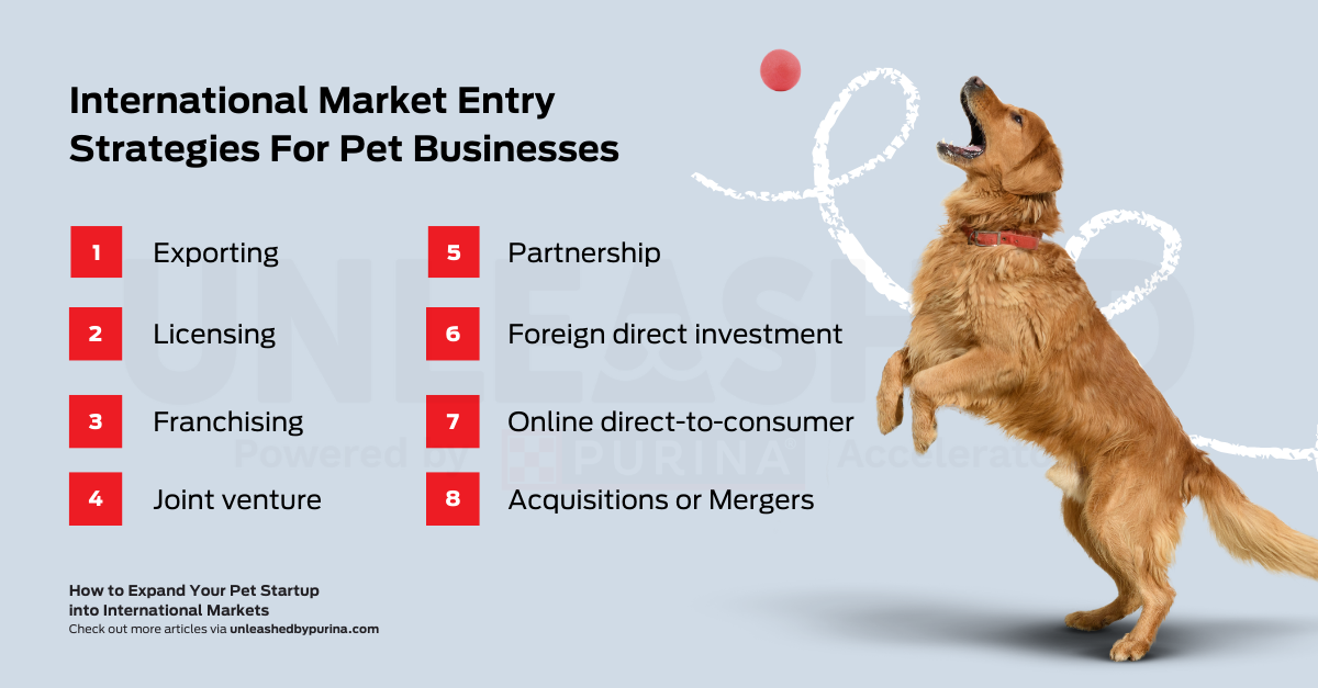 International Market Entry Strategies For Pet Businesses