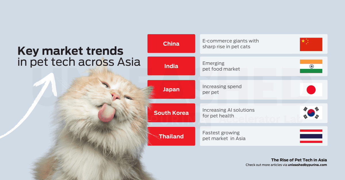 Title: Key market trends in pet tech across Asia Text:  China: E-commerce giants with sharp rise in pet cats India: Emerging pet food market Japan: Increasing spend per pet South Korea: Increasing AI solutions for pet health  Thailand: Fastest growing pet market in Asia